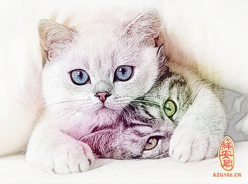 解析做梦梦见猫猫