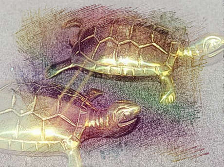 梦见金乌龟