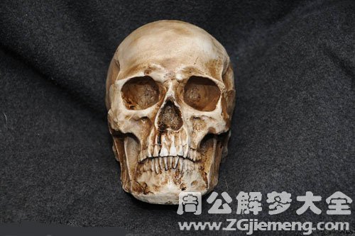 梦境解析，做梦梦到死人骨头意味着什么？