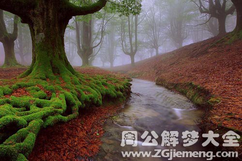 梦见河流、溪流
