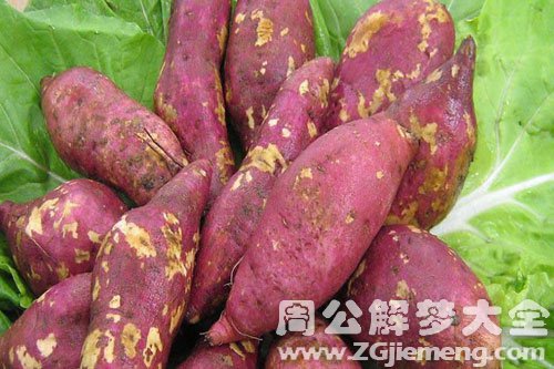 番薯