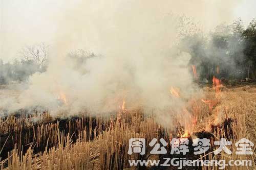 梦见火烧稻草