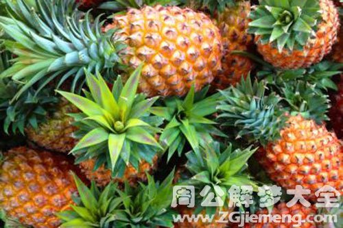 凤梨