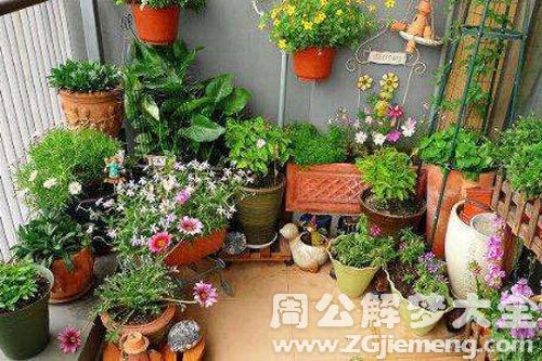 家里有花