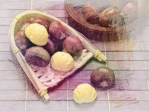 板栗