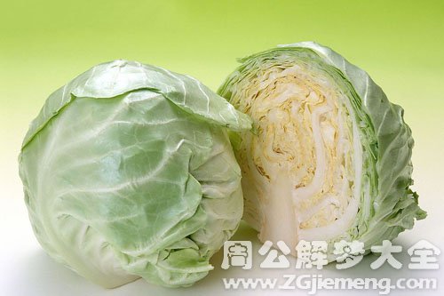 圆白菜