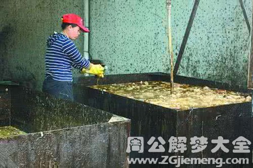 潲水