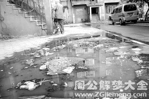 梦见掉脏水里