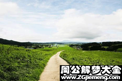 梦见一条小路