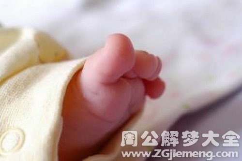 脚被咬出血