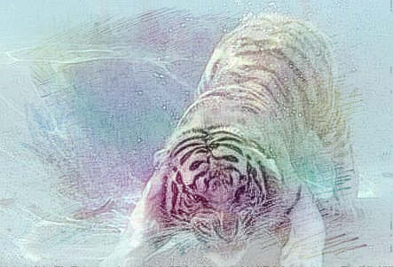  梦见元旦